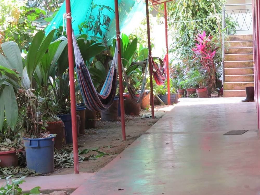 Tambopata Hostel Bambu Puerto Maldonado Buitenkant foto