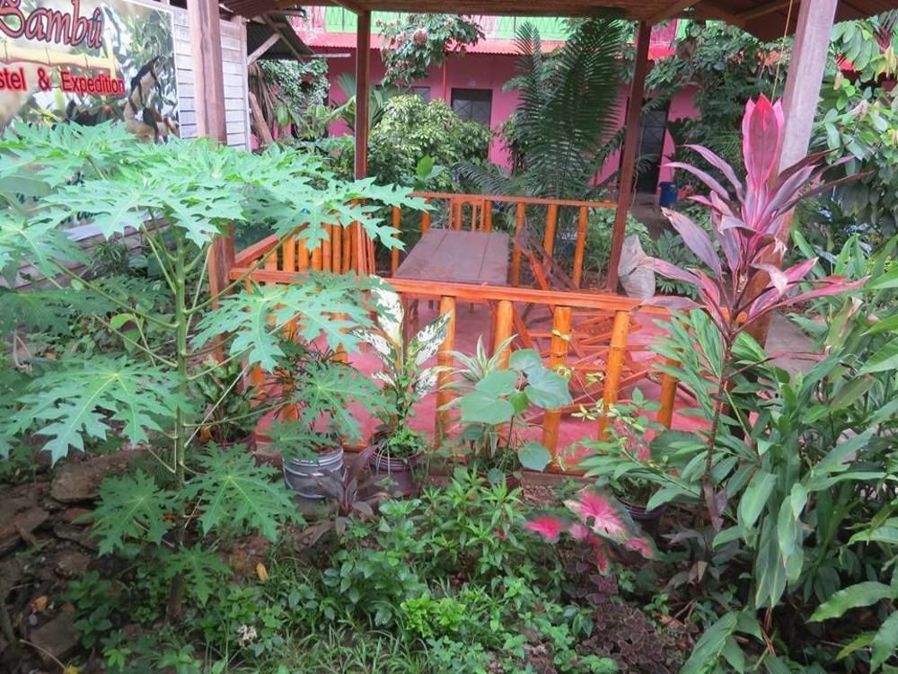 Tambopata Hostel Bambu Puerto Maldonado Buitenkant foto