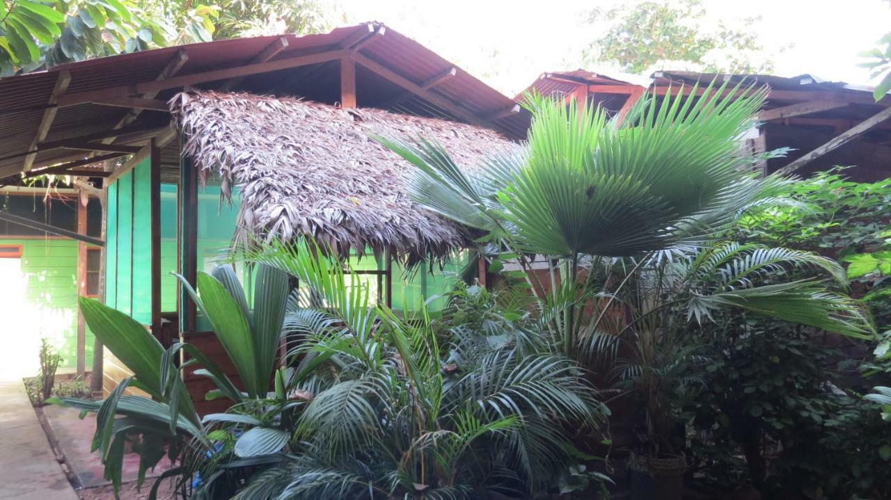 Tambopata Hostel Bambu Puerto Maldonado Buitenkant foto