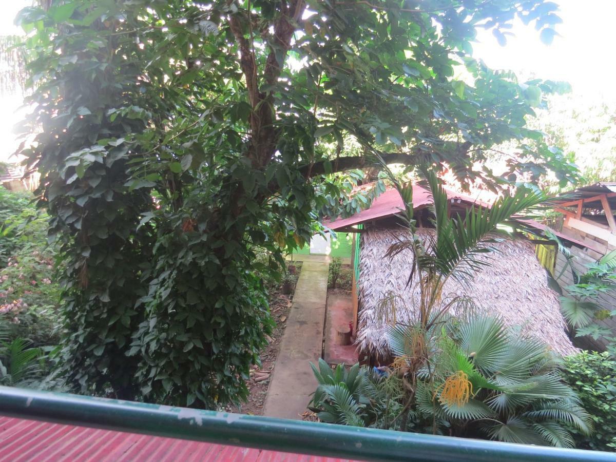 Tambopata Hostel Bambu Puerto Maldonado Buitenkant foto