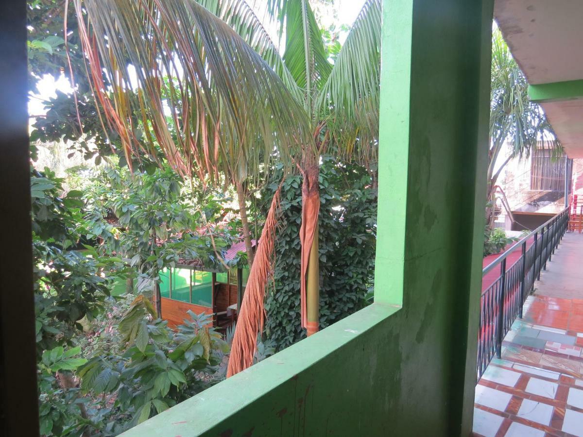 Tambopata Hostel Bambu Puerto Maldonado Buitenkant foto